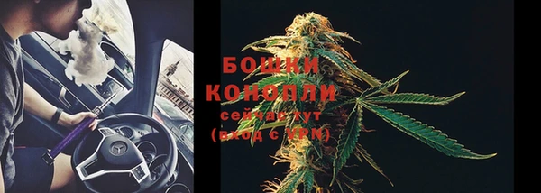 прущая мука Бородино