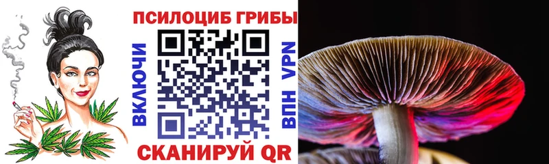 Псилоцибиновые грибы Psilocybe mega ССЫЛКА Гусь-Хрустальный